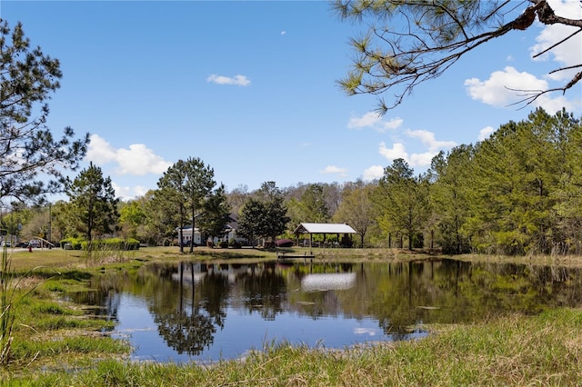 151 SW Silver Palm Dr, Lake City, FL 32024 - photo 35