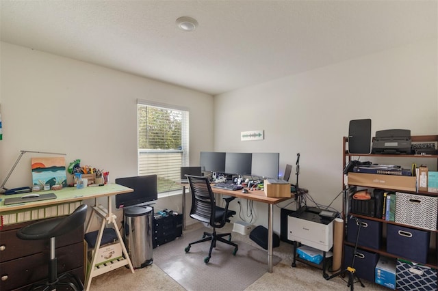 view of carpeted home office