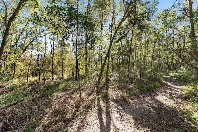 view of local wilderness