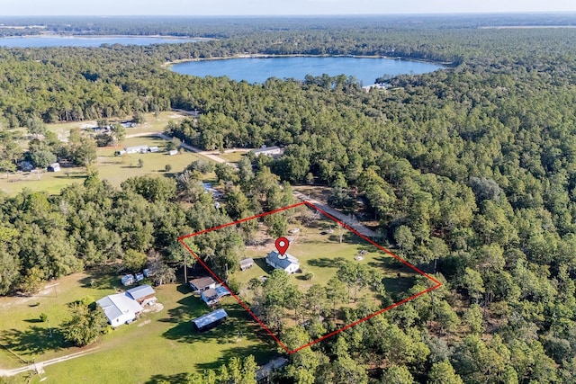 aerial view with a water view