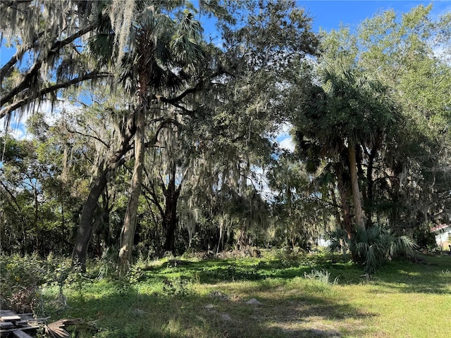 00 NW 217th St, Micanopy FL, 32667 land for sale