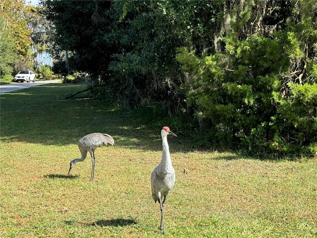 Listing photo 3 for 00 NW 217th St, Micanopy FL 32667