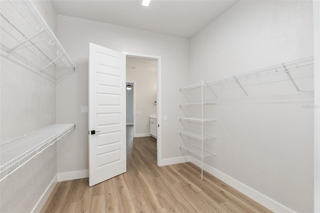 walk in closet with light wood-type flooring