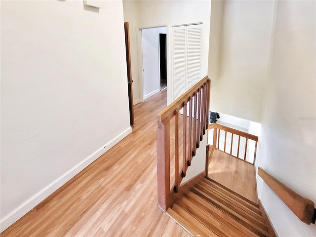 stairway featuring hardwood / wood-style floors