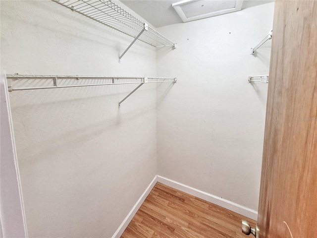 walk in closet featuring hardwood / wood-style floors