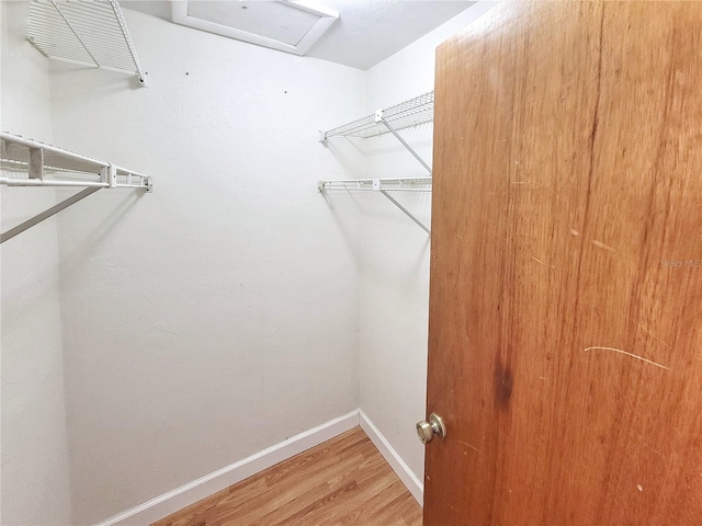 spacious closet with hardwood / wood-style flooring