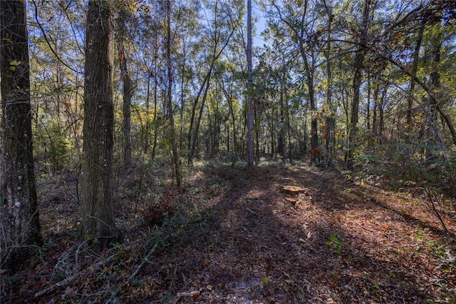 view of local wilderness