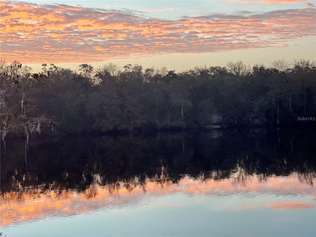 nature at dusk featuring a water view