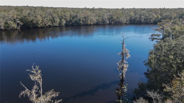 water view featuring a wooded view