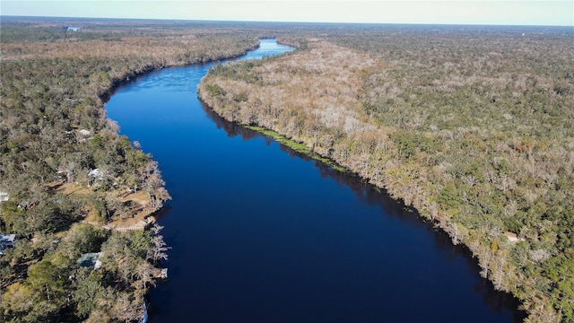 birds eye view of property with a forest view and a water view