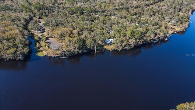 bird's eye view with a view of trees and a water view