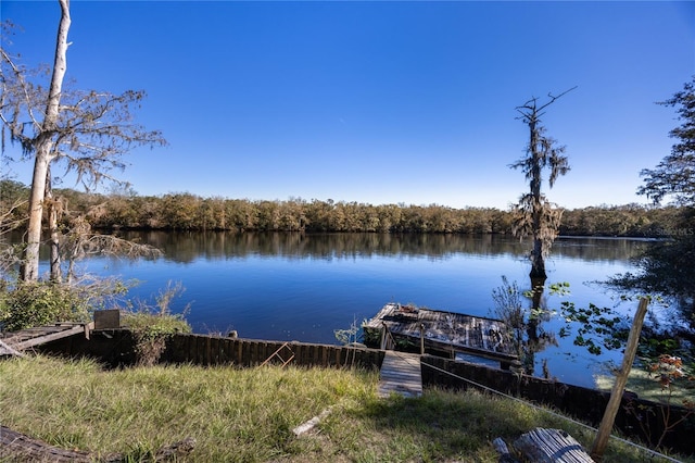 dock area with a water view