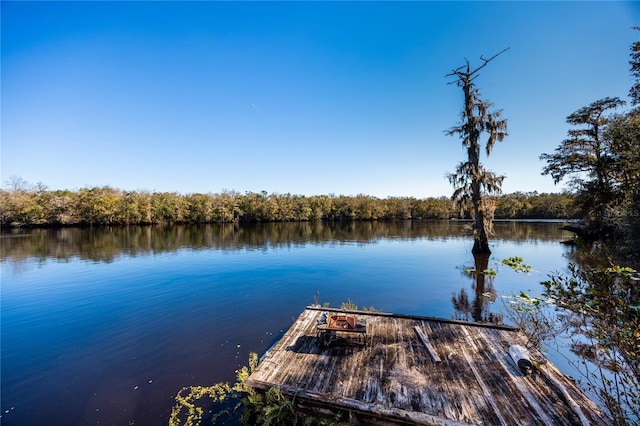 dock area featuring a water view