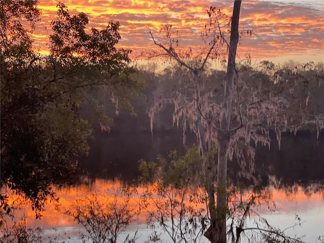 nature at dusk featuring a wooded view