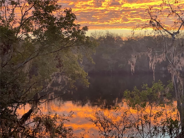 nature at dusk with a wooded view