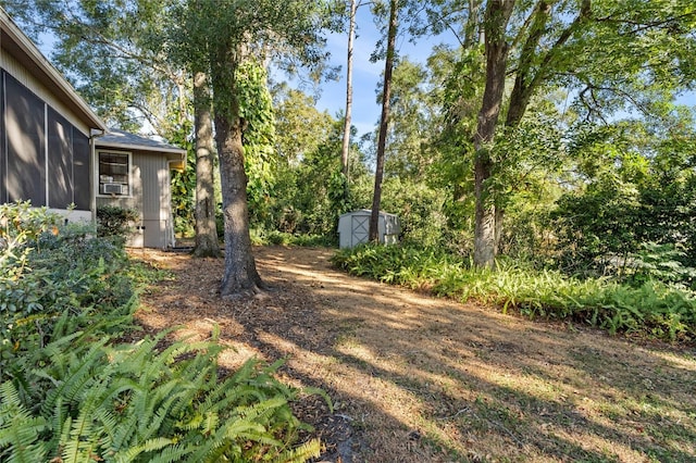 view of yard featuring a shed