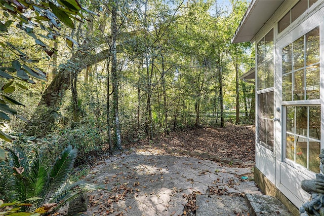 view of yard featuring a patio area