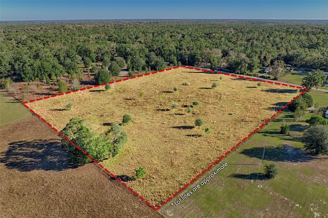 281 SW Merciful Pl, Fort White FL, 32038 land for sale