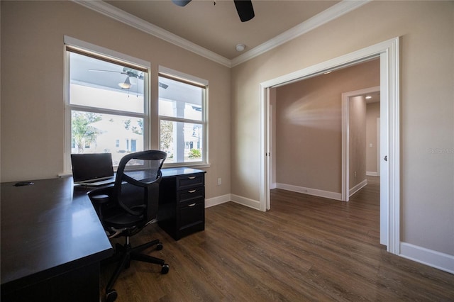 office space featuring ceiling fan, ornamental molding, and dark wood-type flooring