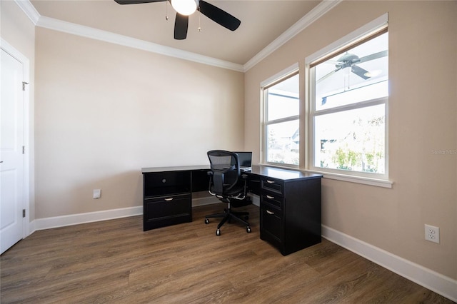 office space featuring ceiling fan, ornamental molding, and dark wood-type flooring