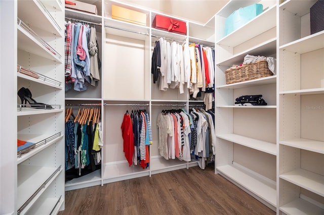 walk in closet with dark hardwood / wood-style flooring