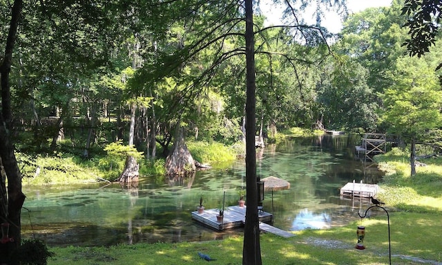 dock area with a water view