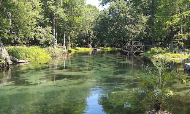 view of water feature