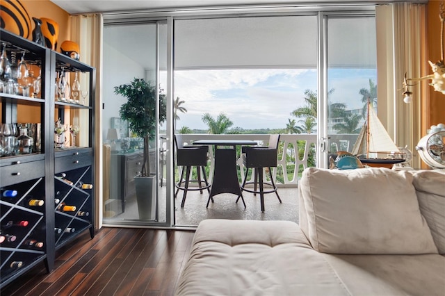 interior space featuring a wall of windows, dark hardwood / wood-style floors, and a wealth of natural light