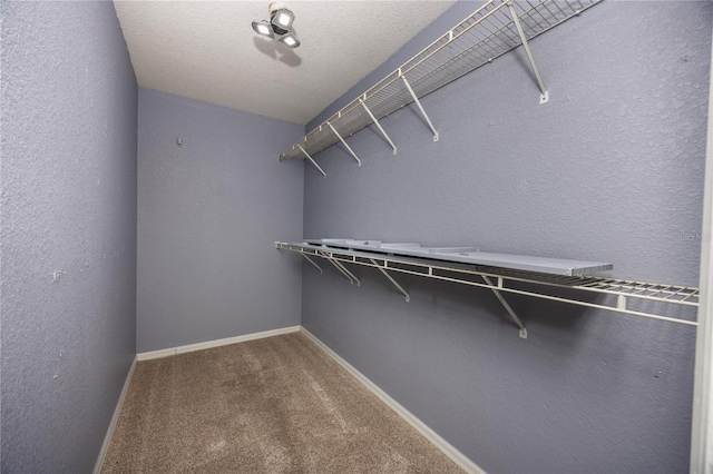 spacious closet with carpet flooring