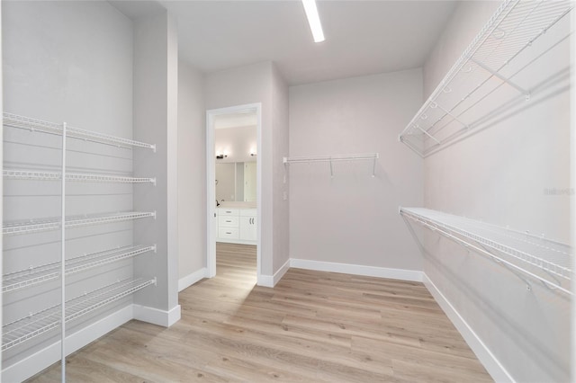 1069 NW 132nd Blvd, Newberry, FL 32669 - walk in closet with wood finished floors