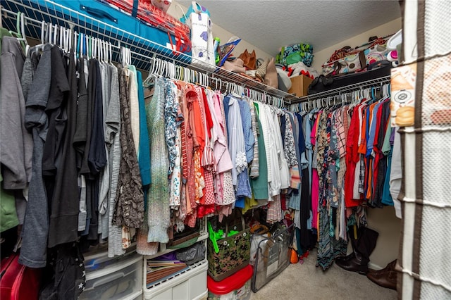 walk in closet featuring carpet flooring