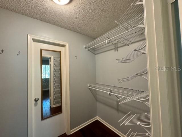 spacious closet with dark hardwood / wood-style floors