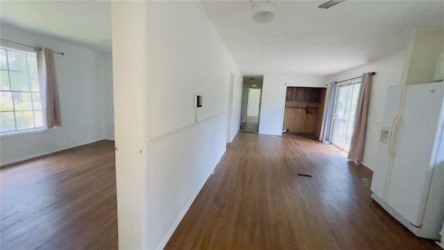 hallway featuring dark wood-type flooring