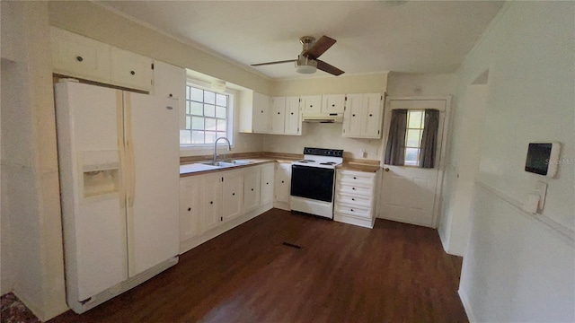 kitchen featuring ceiling fan, sink, dark hardwood / wood-style flooring, white appliances, and white cabinets