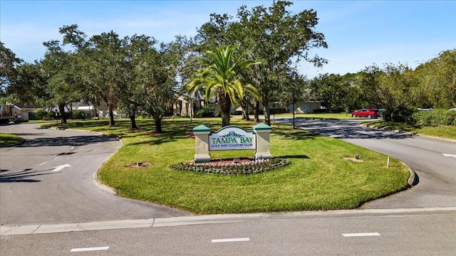 view of home's community with a lawn