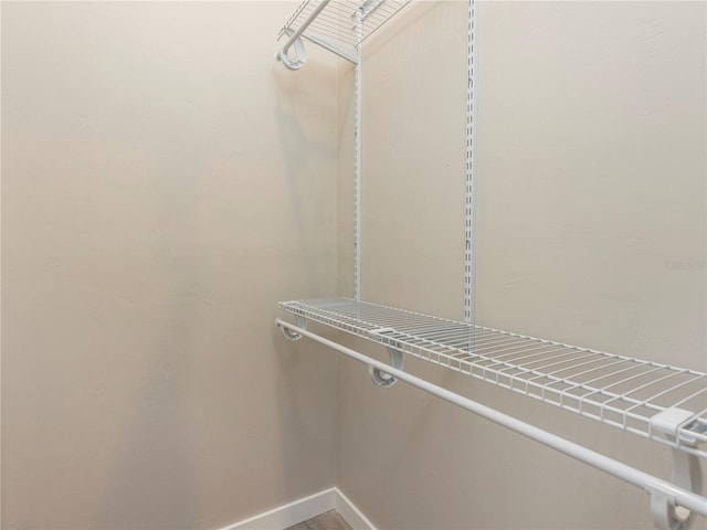 view of walk in closet