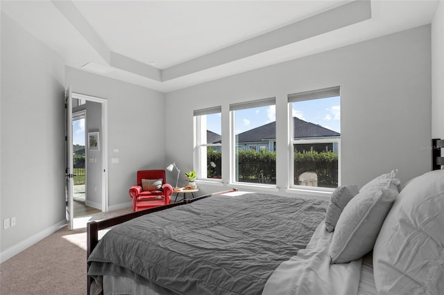 bedroom featuring carpet flooring and a tray ceiling