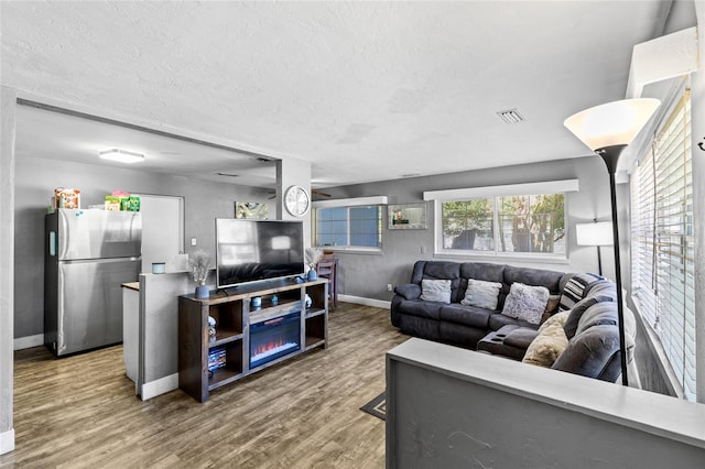 living room with hardwood / wood-style floors and a textured ceiling