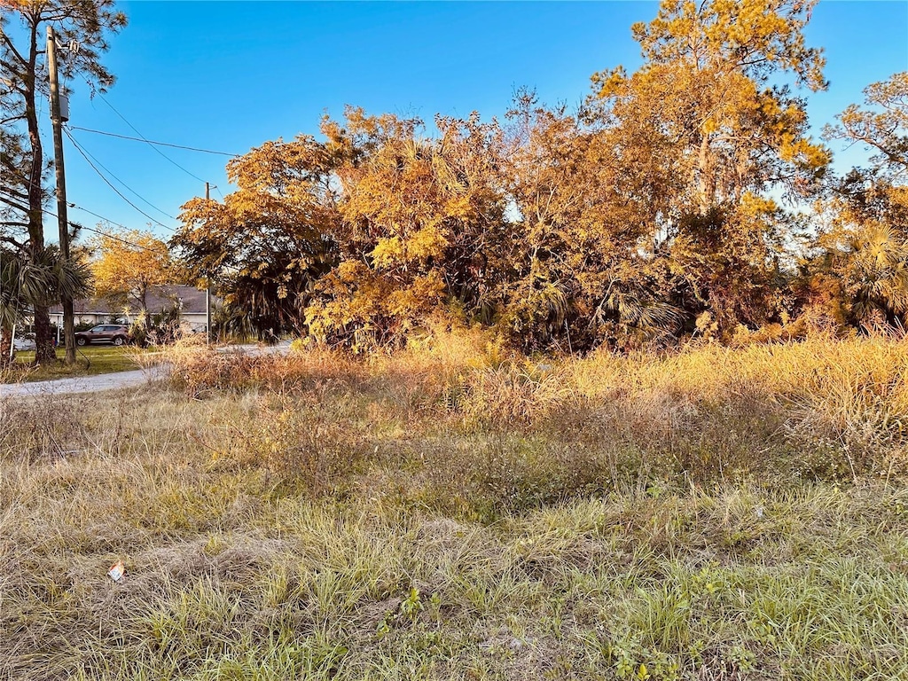 1004 SE 13th Ave, Gainesville, FL 32601