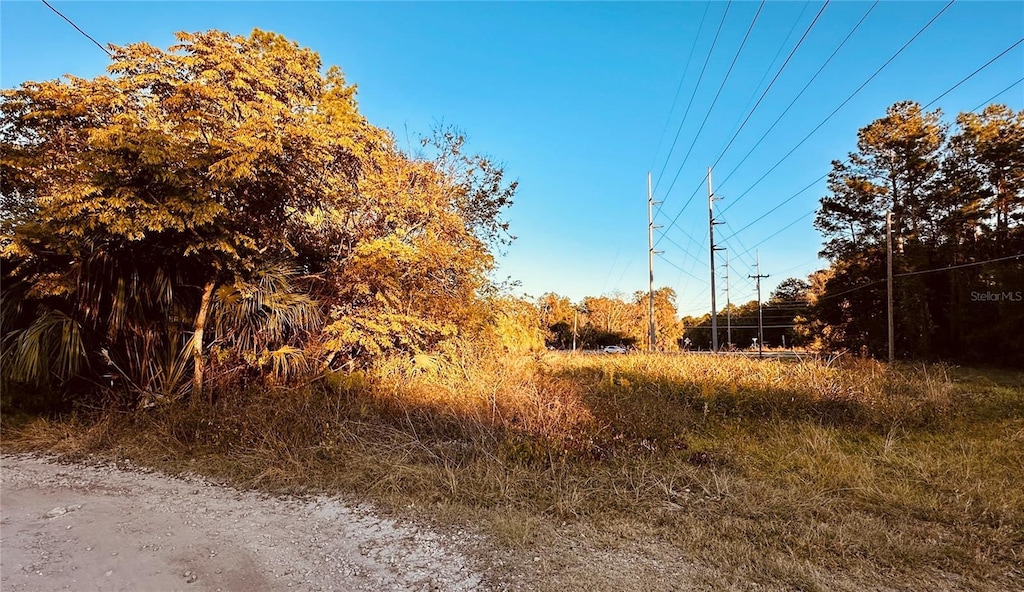 1004 SE 13th Ave, Gainesville, FL 32601