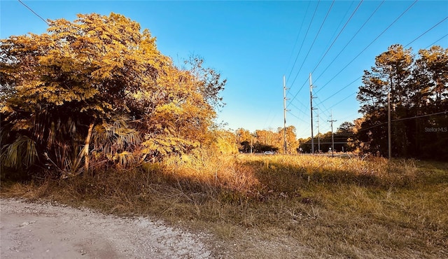 1004 SE 13th Ave, Gainesville, FL 32601