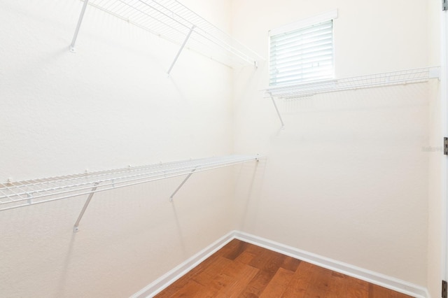 walk in closet with hardwood / wood-style flooring