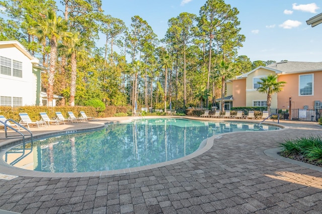 view of pool featuring a patio