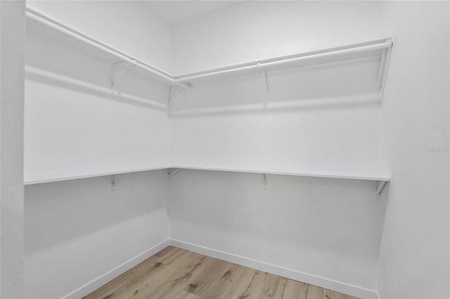 spacious closet featuring wood-type flooring