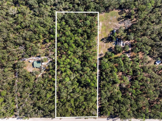 0 OFF NE 628th St, Old Town FL, 32680 land for sale