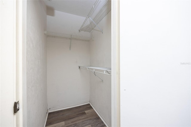 4000 SW 23rd St Unit 5-207, Gainesville, FL 32608 - spacious closet featuring dark wood-style floors
