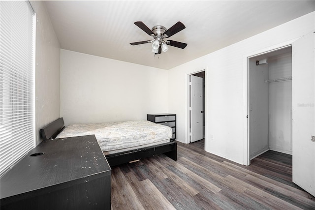 bedroom with a closet, dark hardwood / wood-style floors, and ceiling fan