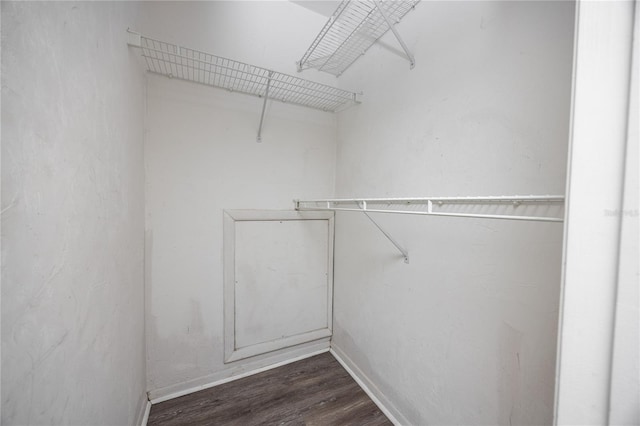 4000 SW 23rd St Unit 5-207, Gainesville, FL 32608 - walk in closet featuring dark wood finished floors
