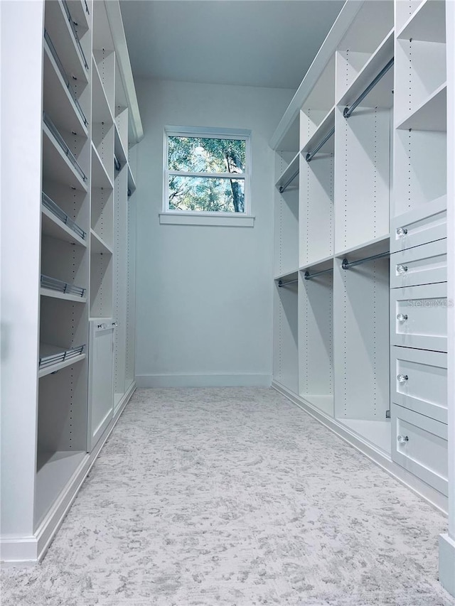 spacious closet with carpet flooring