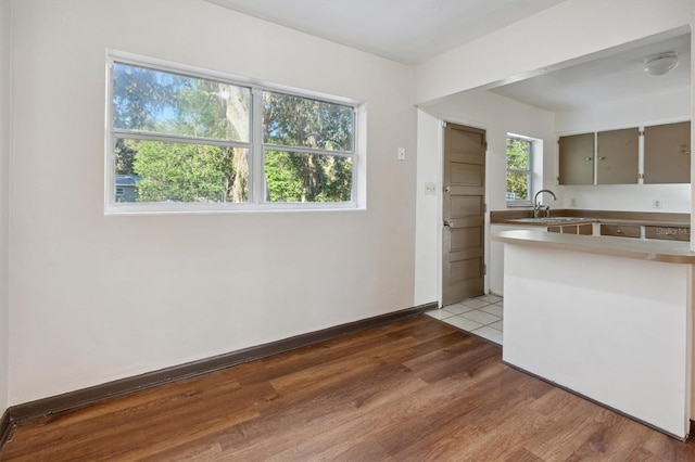 kitchen featuring kitchen peninsula, wood-type flooring, sink, and a wealth of natural light